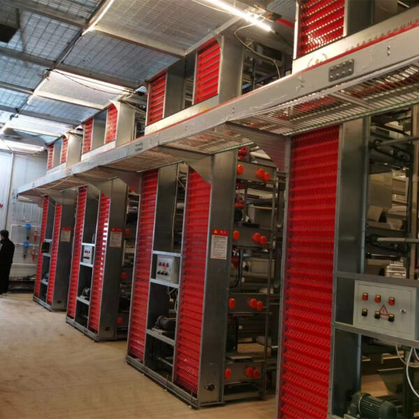 Egg Picking Machine Egg Picking Machine