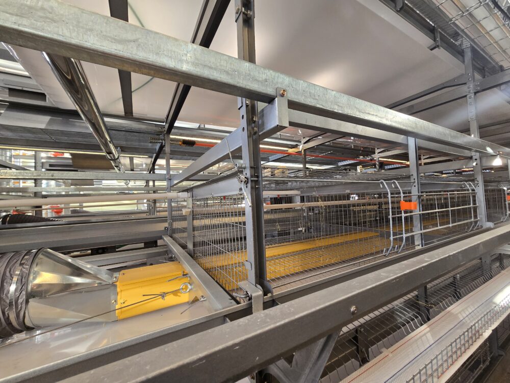 Система вентиляции дна клетки Система вентиляции дна клетки