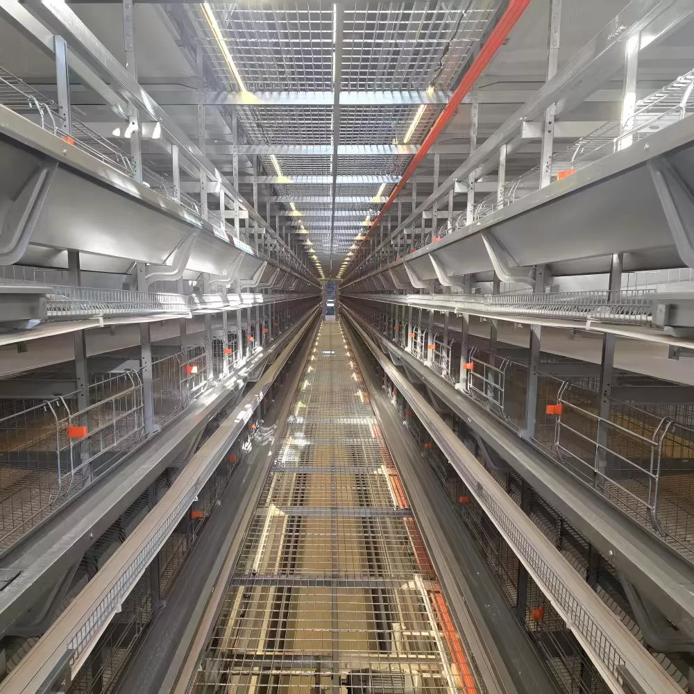 Высотный штабелируемый яйцесборник яйцо курица несушка клетка