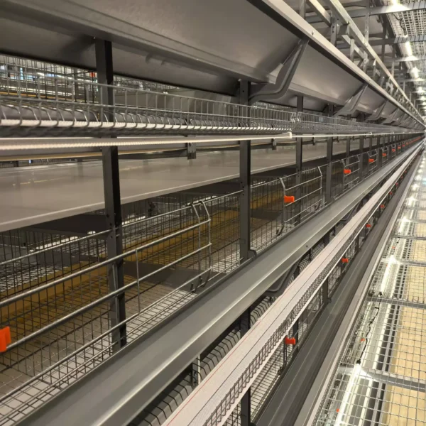 блог-7 блог-7