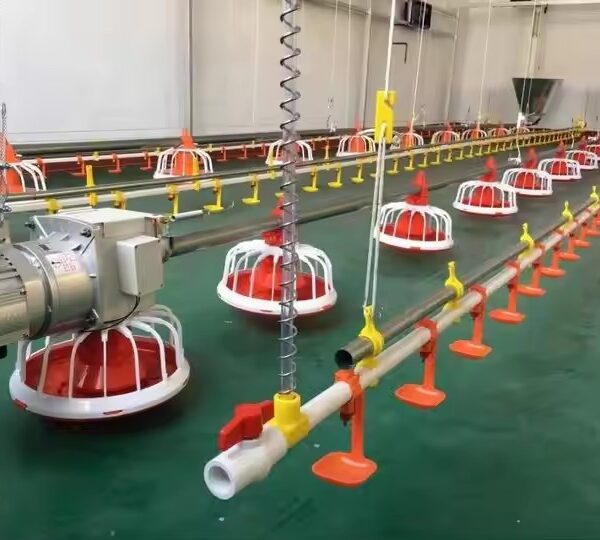 Broiler Floor Equipment