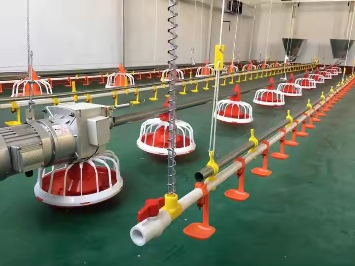 broiler floor equipment