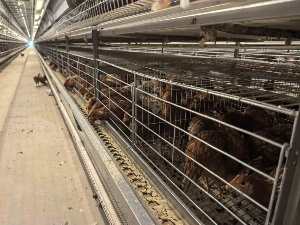 баннер-2-бг баннер-2-бг