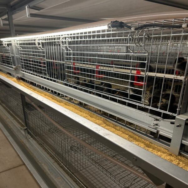 mmexport1733359958328 mmexport1733359958328