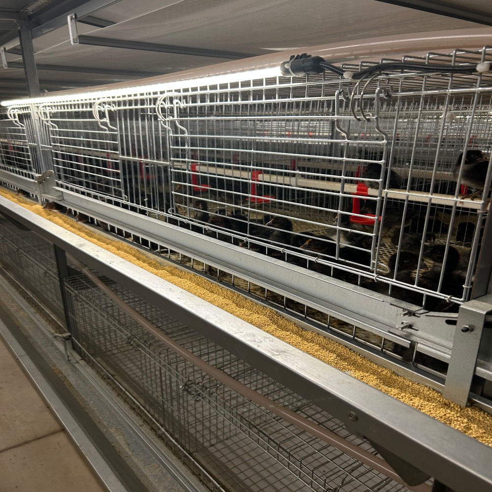 mmexport1733359958328 mmexport1733359958328