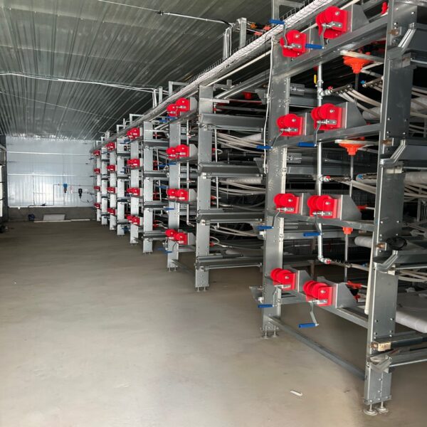 mmexport1733359977086