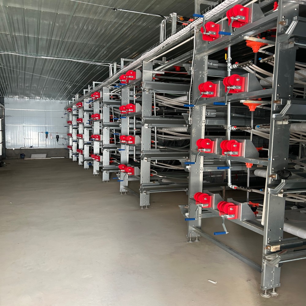 mmexport1733359977086 mmexport1733359977086