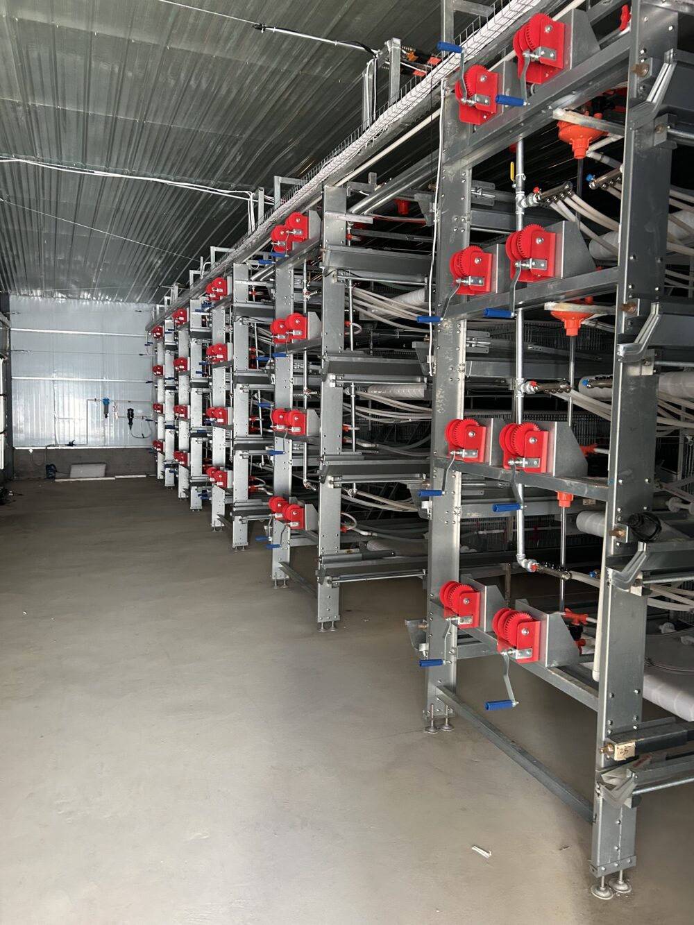 브로딩 케이지 브로딩 케이지