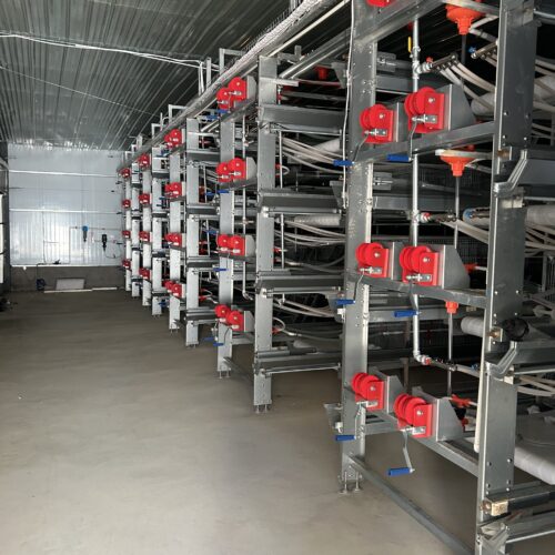 브로일러 치킨 케이지