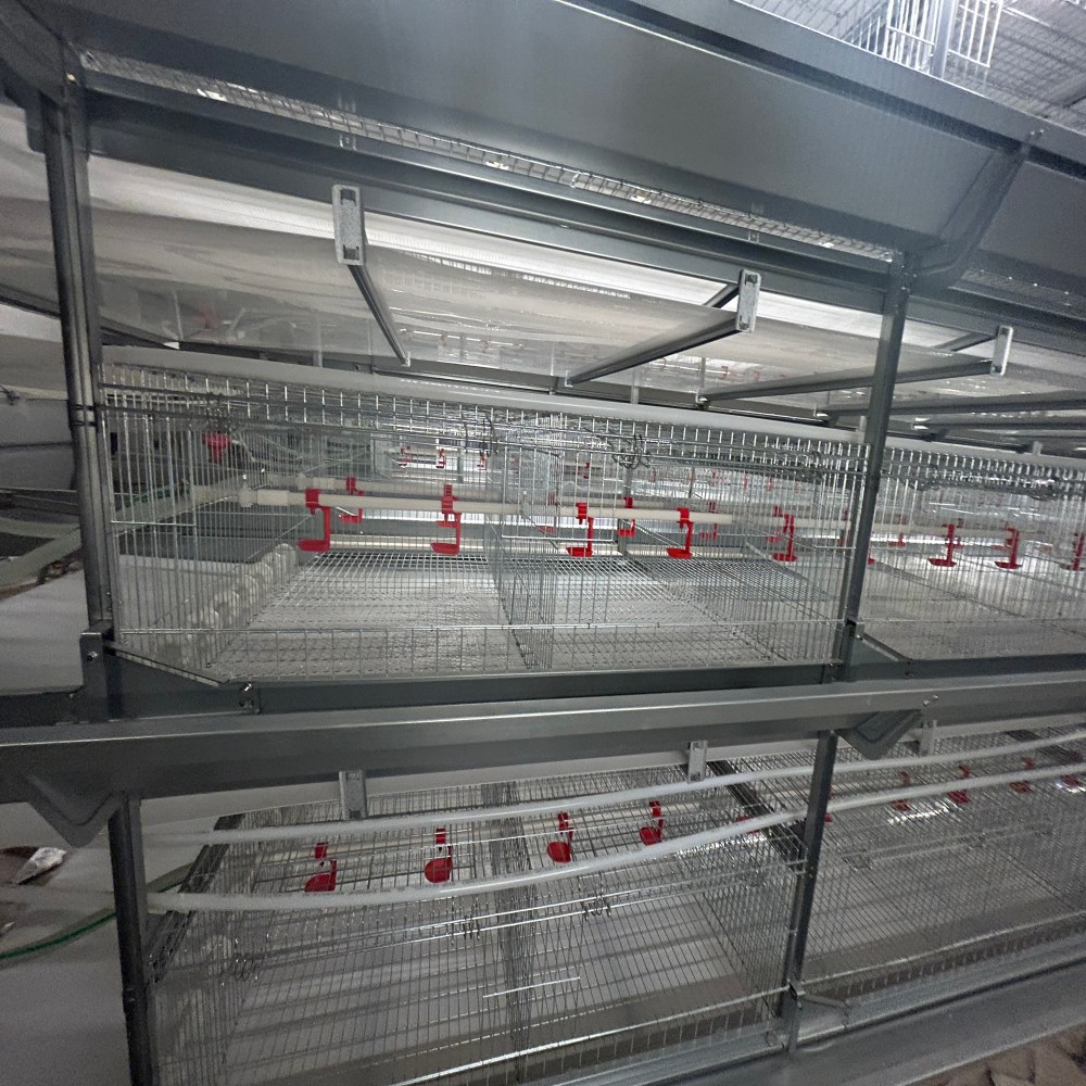 mmexport1733360033835 mmexport1733360033835