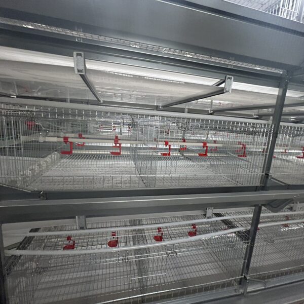 mmexport1733360033835 mmexport1733360033835