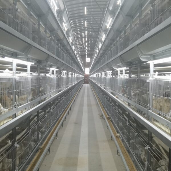 H형 육추 케이지 H형 육추 케이지