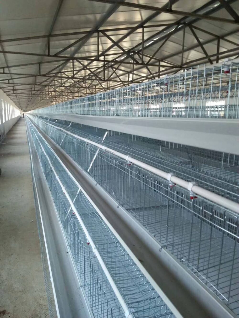 Клетчатый слой A-tpye Клетка для слоев тпия