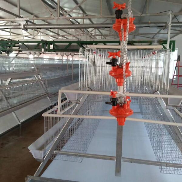 A-tpye layer cage