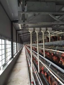 Gantry Feeder
